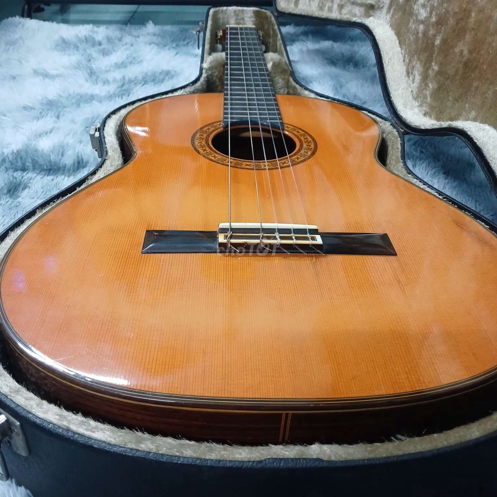 Cần ra đi em Guitar classic Ryoji matsuoka M30.