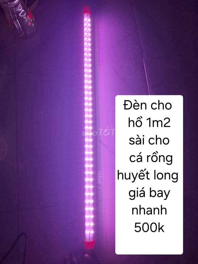 Hàng thanh lý