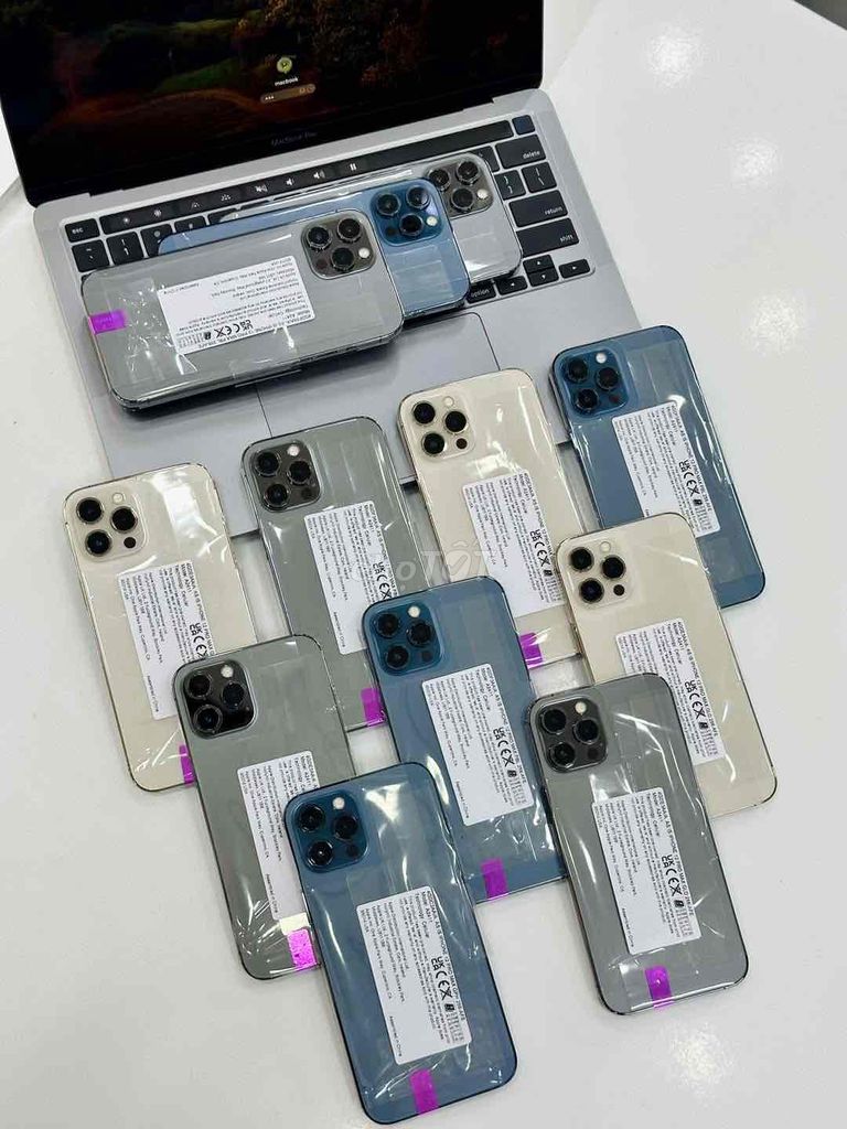iphone 12promax góp 0đ bán và giao lưu góp nợ xấu. Mua bán Điện thoại tại Quận Lê Chân Hải Phòng được đăng bởi hải phòng hình 1