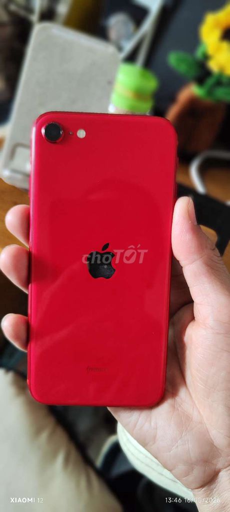 Apple iPhone SE 2 64GB Đỏ 99%. Mua bán Điện thoại tại Thành phố Biên Hòa Đồng Nai được đăng bởi Sơn BH hình 1