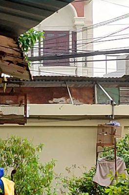 Bán chào mào. Mua bán Chim tại Thành phố Thủ Đức Tp Hồ Chí Minh được đăng bởi Năm Chào Mào