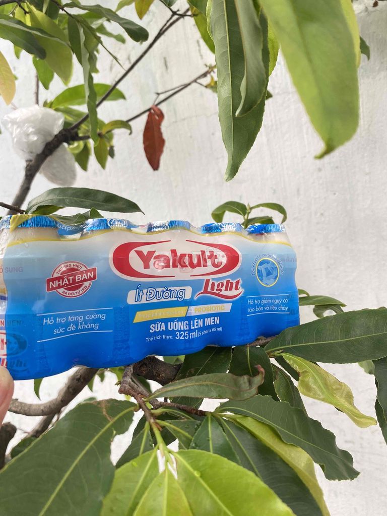 Sữa uống lên men Yakult Ít đường. Mua bán Đồ ăn, thực phẩm và các loại khác tại Quận 12 Tp Hồ Chí Minh được đăng bởi Nguyễn thị hồng vân hình 1