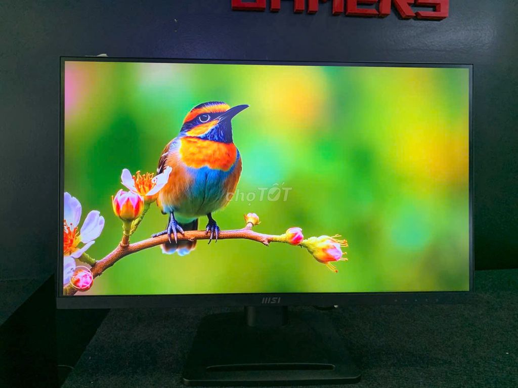 MÀN HÌNH 27IN 2K BAO NÉT ĐẸP KENG BAO CHIẾN OK. Mua bán Phụ kiện (Màn hình, Chuột...) tại Quận Gò Vấp Tp Hồ Chí Minh được đăng bởi ngọc trang hình 1