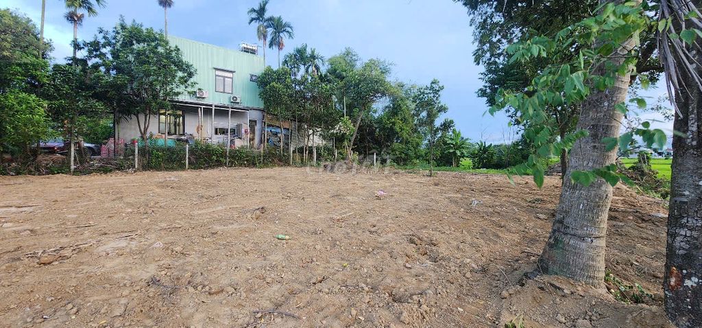 cần bán lô bê tông 6m trà kiểm dt 200m2. Mua bán đất tại Quận Cẩm Lệ Đà Nẵng được đăng bởi THẾ VŨ hình 1