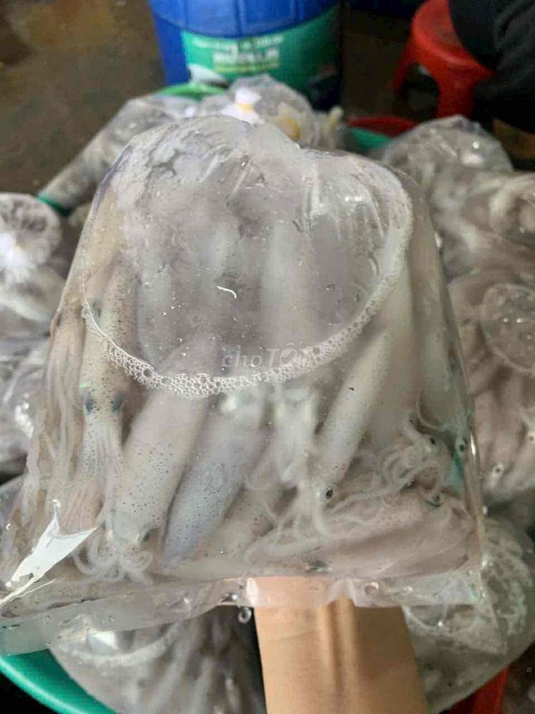 Mực tươi Phú Yên 1kg. Mua bán Đồ ăn, thực phẩm và các loại khác tại Huyện Hóc Môn Tp Hồ Chí Minh được đăng bởi Hôm Nay Ăn Gì hình 1