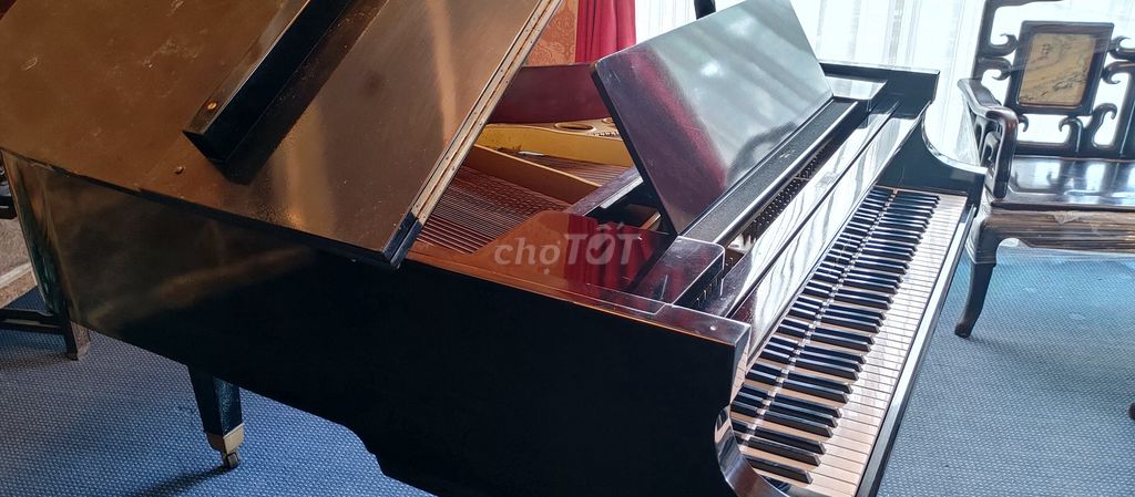 Piano Grand EASTEIN