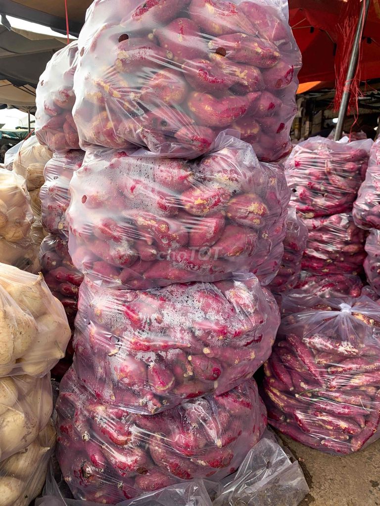 củ các loại