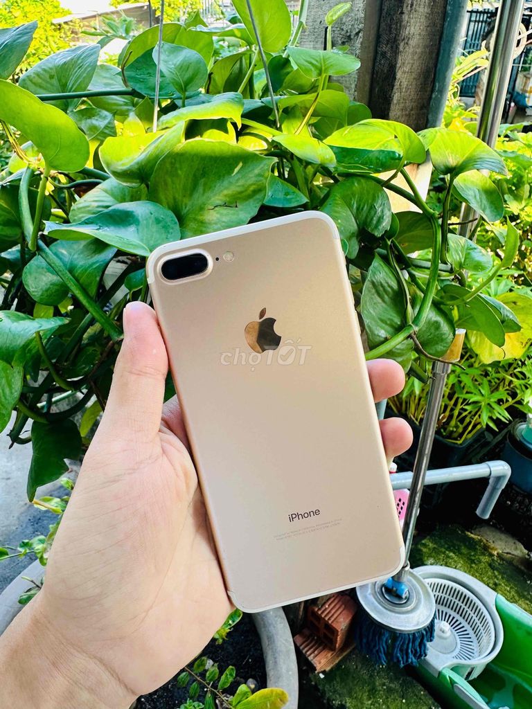iphone 7plus 256G quốc tế gold. Mua bán Điện thoại tại Quận 12 Tp Hồ Chí Minh được đăng bởi Nguyễn Văn Vang hình 1