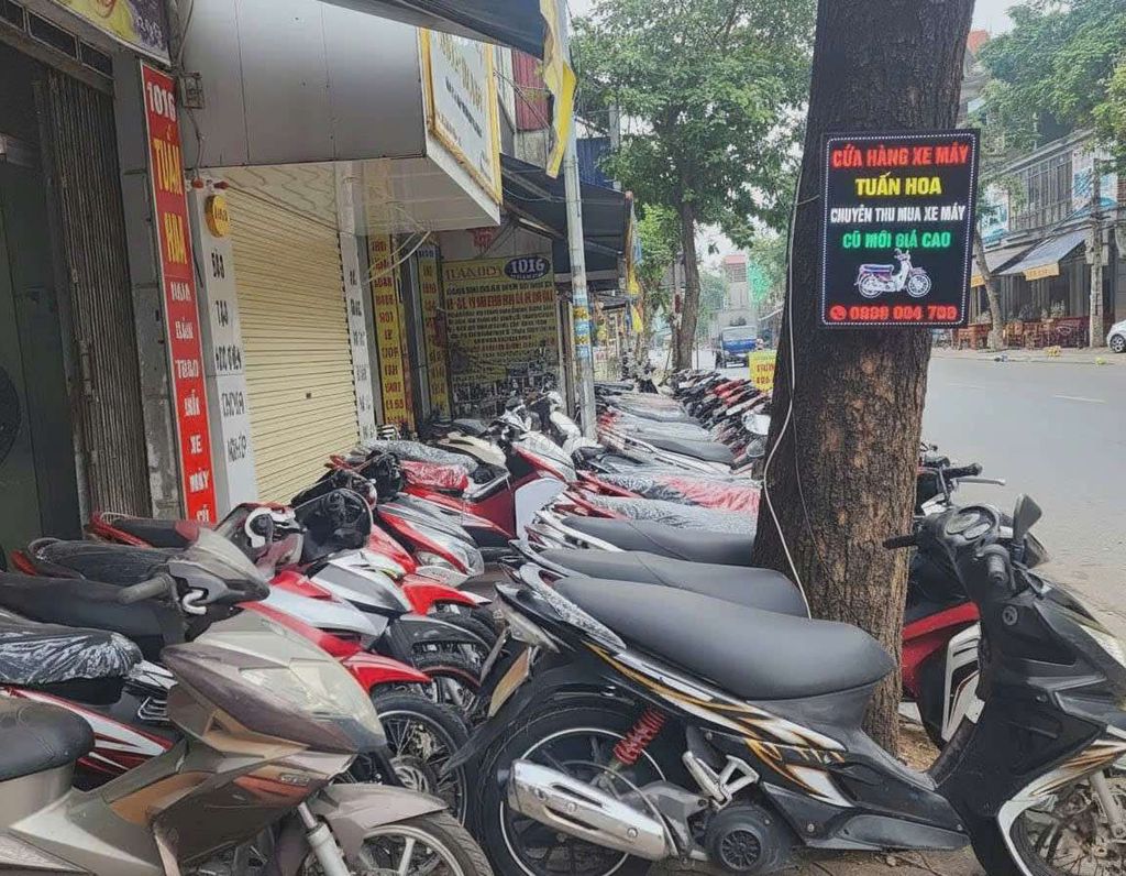 Cần thành lý gấp 1 số xe tay ga máy zin đét. Mua bán Xe máy tại Quận Kiến An Hải Phòng được đăng bởi Hà Minh Tuấn hình 1