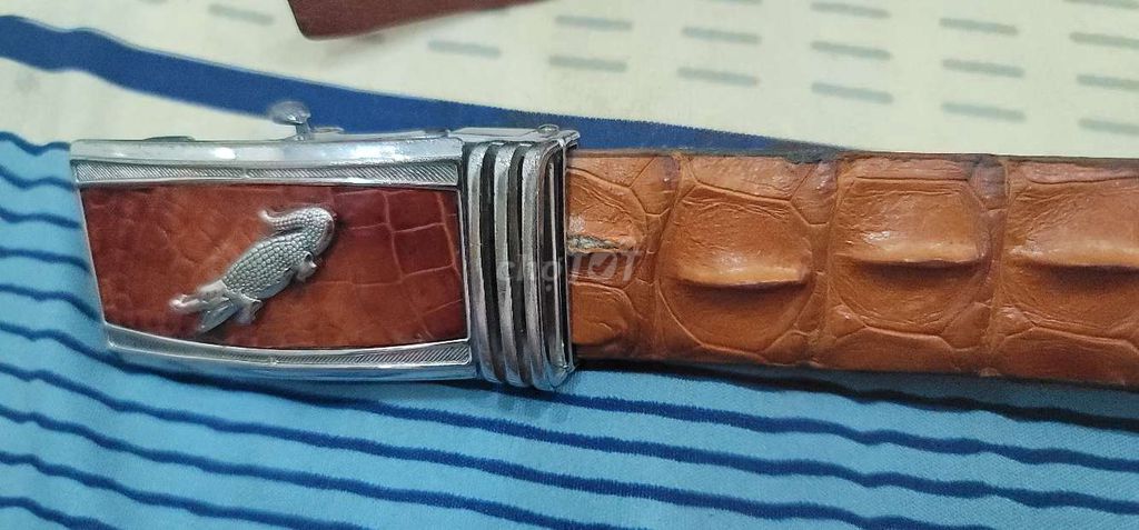 Thắt lưng nam da cá sấu Nâu. Mua bán Phụ kiện thời trang khác tại Huyện Nhà Bè Tp Hồ Chí Minh được đăng bởi Đặng Ngọc Dũng  hình 1