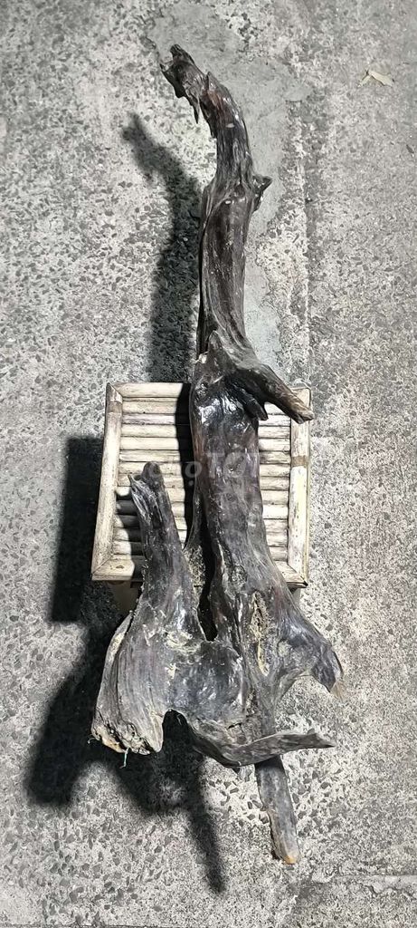 Lũa trang trí 1.3 mét. Mua bán Cây cảnh, đồ trang trí tại Huyện Hóc Môn Tp Hồ Chí Minh được đăng bởi Nguyên hình 1