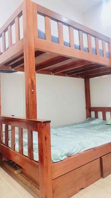 Giường tầng giường đôi gỗ tốt cho bé và bố mẹ luôn
