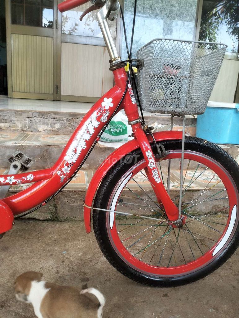 Mua xe đạp tặng con chó. Mua bán Xe đạp tại Thành phố Bà Rịa Bà Rịa - Vũng Tàu được đăng bởi haohao hình 3