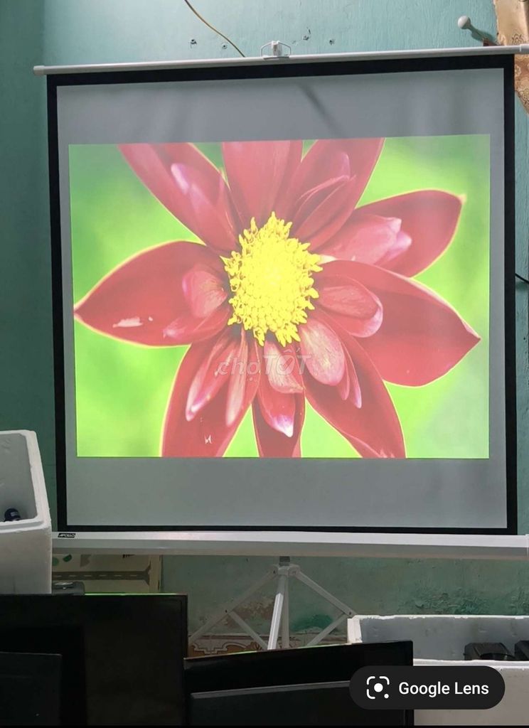 Máy chiếu Optoma pj638X Đen. Độ sáng Cao.. Mua bán Đồ dùng văn phòng tại Huyện Thuỷ Nguyên Hải Phòng được đăng bởi Quang Hải hình 1
