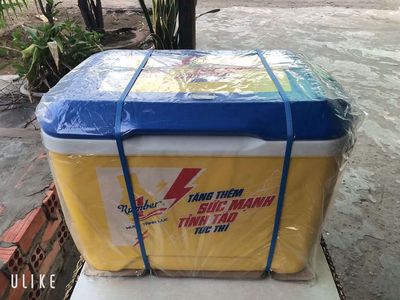 Thanh lý thùng đá 45l nhựa duy tân hàng new. Mua bán Nội thất, đồ gia dụng khác tại Thành phố Long Xuyên An Giang được đăng bởi Huy Cường 