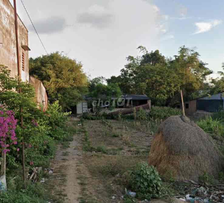 Cần bán đất 200m2 full thổ cư đường nguyễn du- phường an nhơn đông Cần bán đất 200m2 full thổ cư đường nguyễn du- phường an nhơn đông