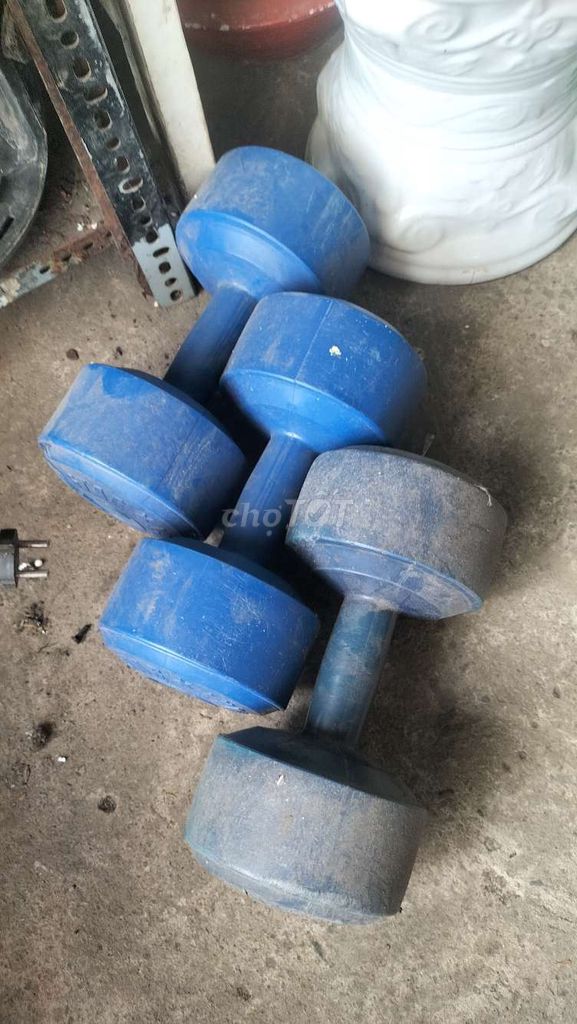 Tạ tập thể dục Nhựa Xanh dương