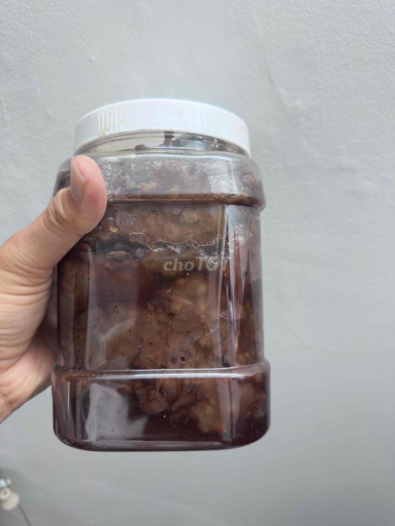 Trái nhàu ngâm đường phèn. Mua bán Đồ ăn, thực phẩm và các loại khác tại Quận 7 Tp Hồ Chí Minh được đăng bởi Trần Thúc Định hình 1
