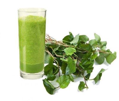 Rau diếp cá. Mua bán Đồ ăn, thực phẩm và các loại khác tại Quận Long Biên Hà Nội được đăng bởi tổng kho sỉ