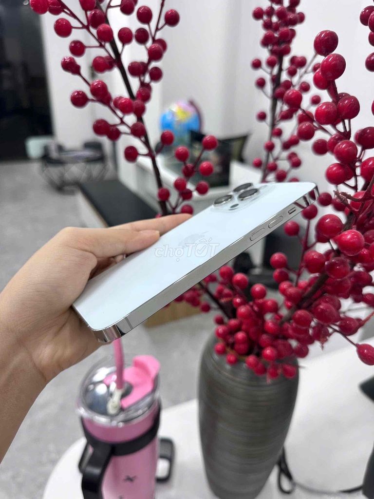 14 Pro Max 256GB Trắng zin full 100%. Mua bán Điện thoại tại Quận Cầu Giấy Hà Nội được đăng bởi Táo Zin Hà Nội hình 1