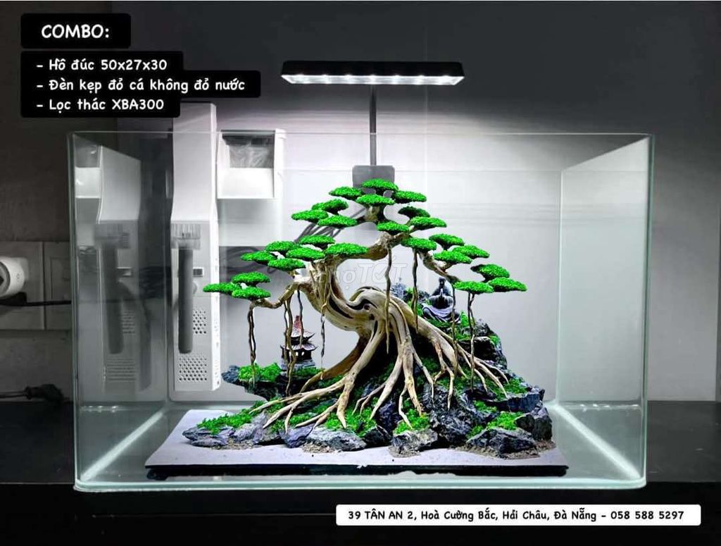 Full bộ hồ cá kính đúc 50x27x30cm tiểu cảnh bonsai