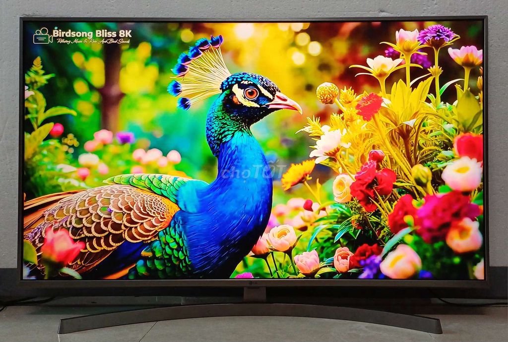 Tivi wifi 4k 43 inch LG có chuột bay giọng nói. Mua bán Tivi, Âm thanh tại Quận Ninh Kiều Cần Thơ được đăng bởi Luật Nguyễn hình 1
