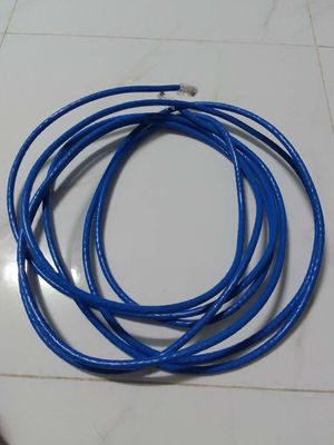 5m dây cáp mạng AMP Cat6 xanh