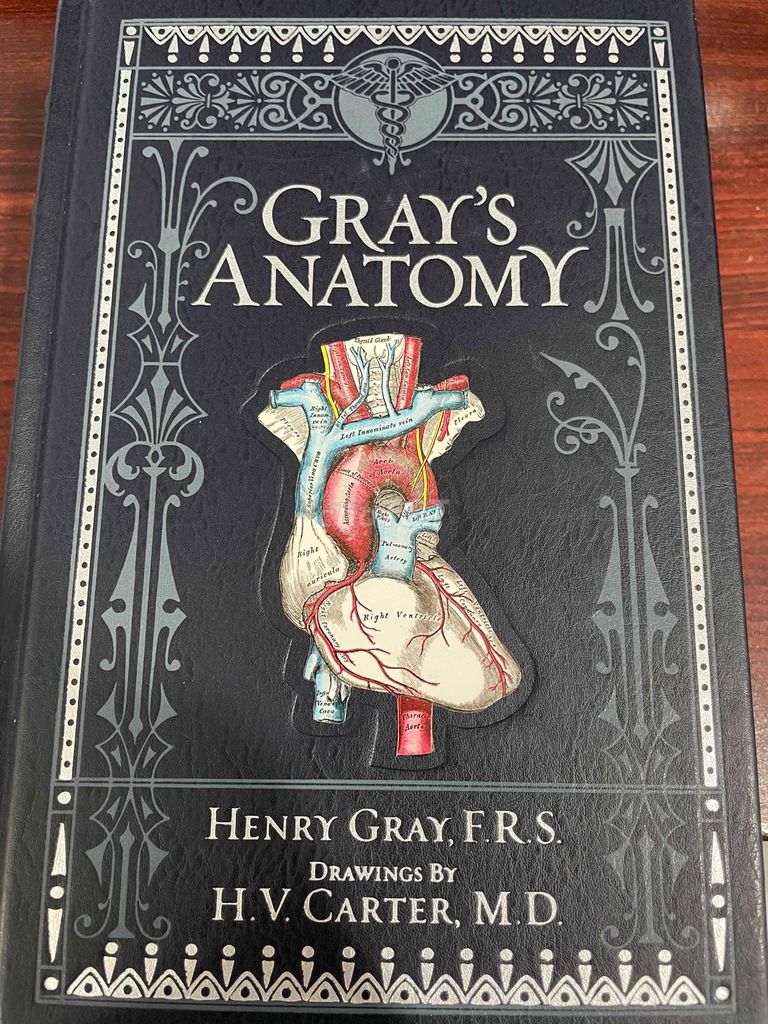 sách gray’s anatomy