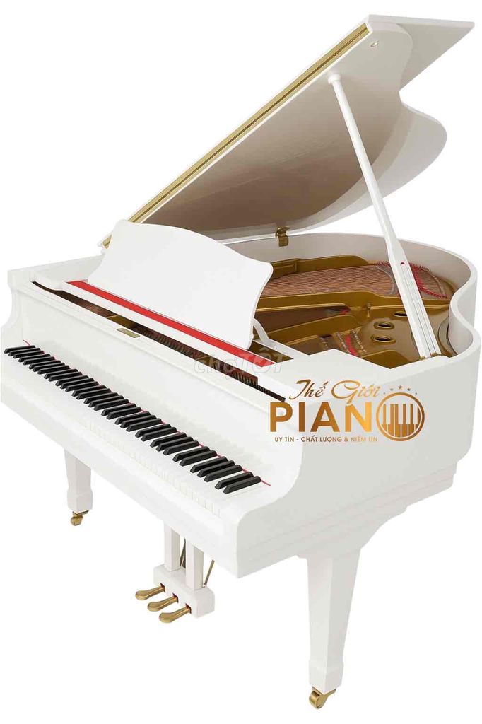 Đàn Grand piano Yamaha G2 giá tại kho. Mua bán Nhạc cụ tại Huyện Bình Chánh Tp Hồ Chí Minh được đăng bởi THẾ GIỚI PIANO HCM hình 1