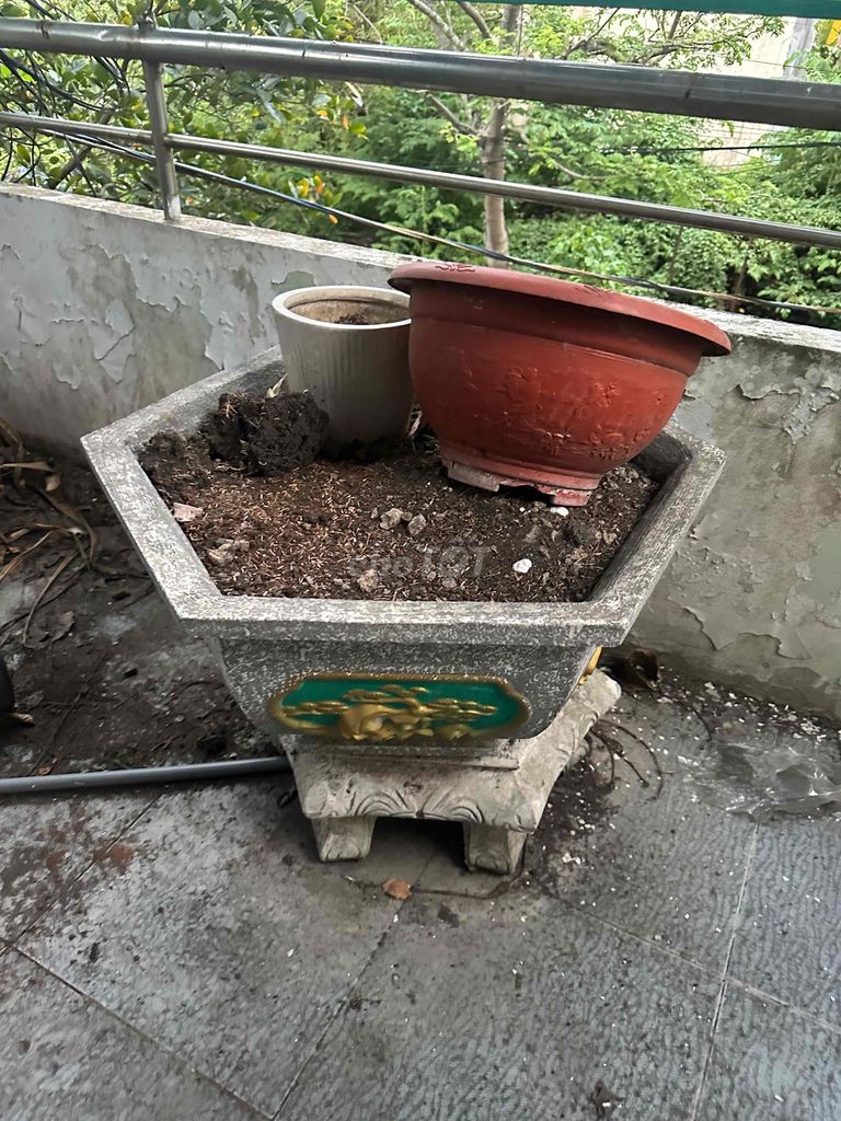 Chậu cây đất nung Đỏ 4 Lớn và 2 nhỏ. Mua bán Cây cảnh, đồ trang trí tại Quận 8 Tp Hồ Chí Minh được đăng bởi Tran Phuong Anh hình 1