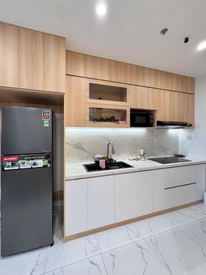 Cho thuê đa dạng căn hộ Studio, 1PN, 2PN, 3PN tại Vinhomes Grand Park