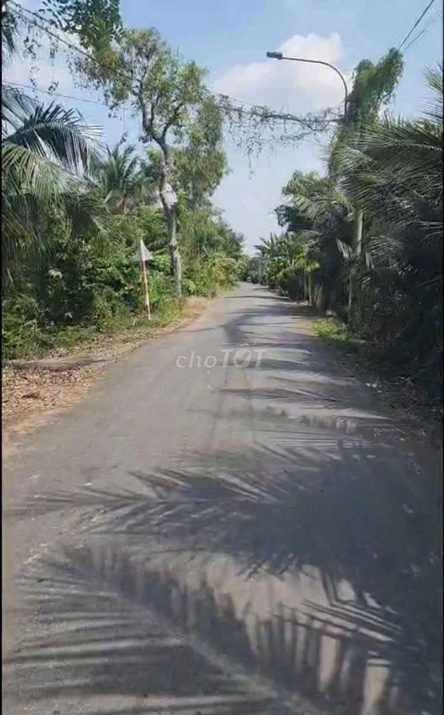 Đất chính chủ