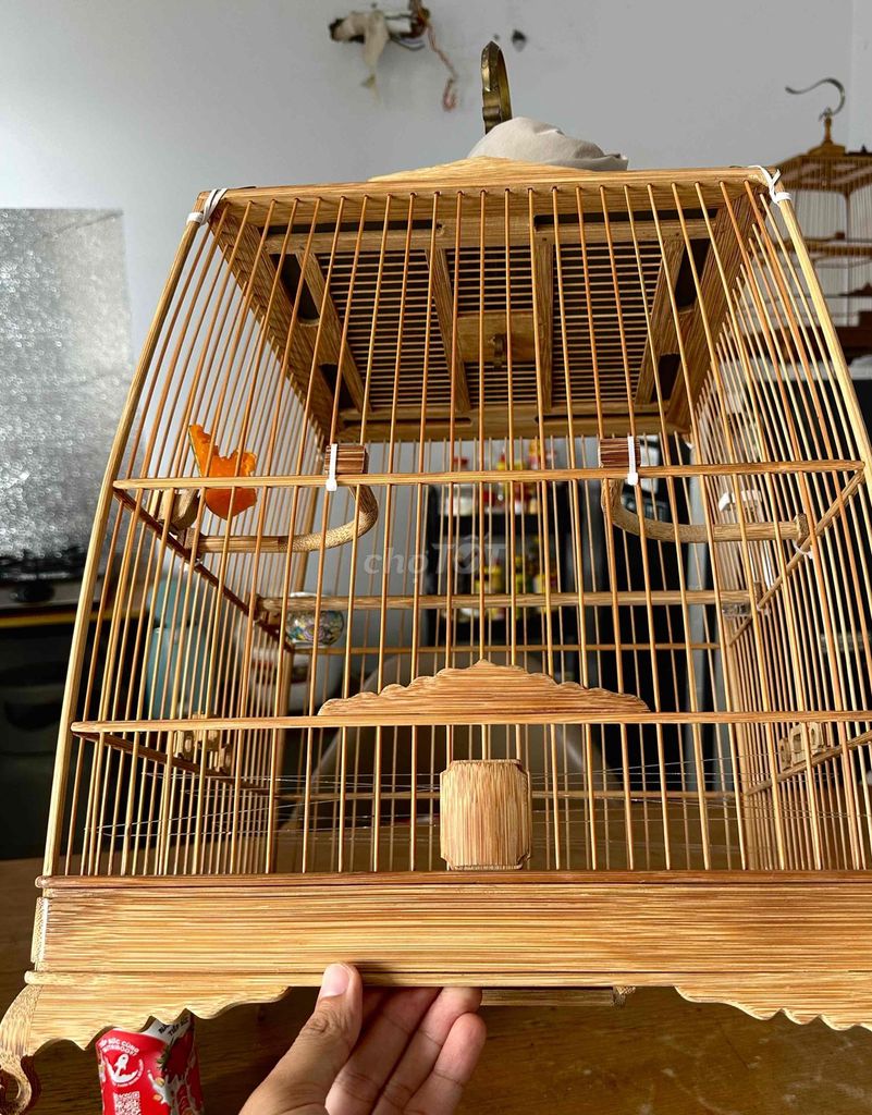 lồng chim và đồng hồ. Mua bán Chim tại Quận Gò Vấp Tp Hồ Chí Minh được đăng bởi víaaasaaa hình 1