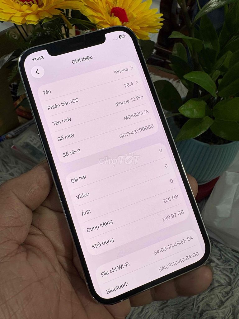iPhone 12 Pro 256GB Trắng LL/A Đã dùng. Mua bán Điện thoại tại Thành phố Biên Hòa Đồng Nai được đăng bởi thanh hình 1