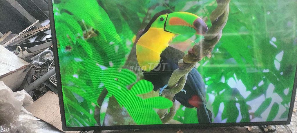 Tivi Samsung K5500 40 inch. Mua bán Tivi, Âm thanh tại Thành phố Thủ Đức Tp Hồ Chí Minh được đăng bởi Trần Quang huy hình 1