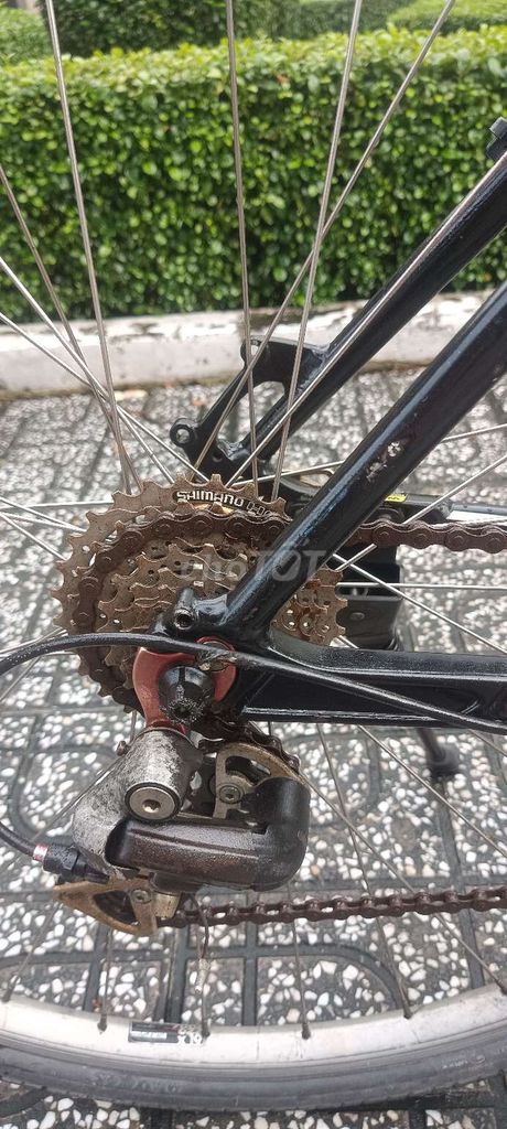 Xe đạp Felt Nhôm Nhật Bản  có phuộc trước 95%. Mua bán Xe đạp tại Quận Tân Bình Tp Hồ Chí Minh được đăng bởi Phước Bảo  hình 4