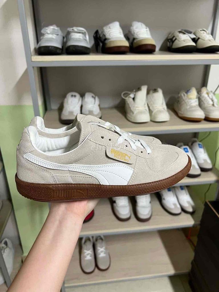 Giày thể thao Puma Be Da lộn. Mua bán Giày dép tại Quận Đồ Sơn Hải Phòng được đăng bởi 黃嘉義 hình 1
