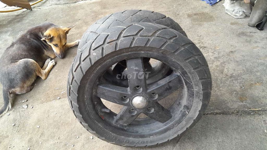 Cặp bánh Piaggio LX. Mua bán Phụ tùng xe tại Quận Bình Tân Tp Hồ Chí Minh được đăng bởi Bé Hằng  hình 4