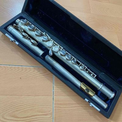 Sáo Flute Dư Dùng Bán Nhanh. Mua bán Nhạc cụ tại Quận 7 Tp Hồ Chí Minh được đăng bởi Trần Tâm