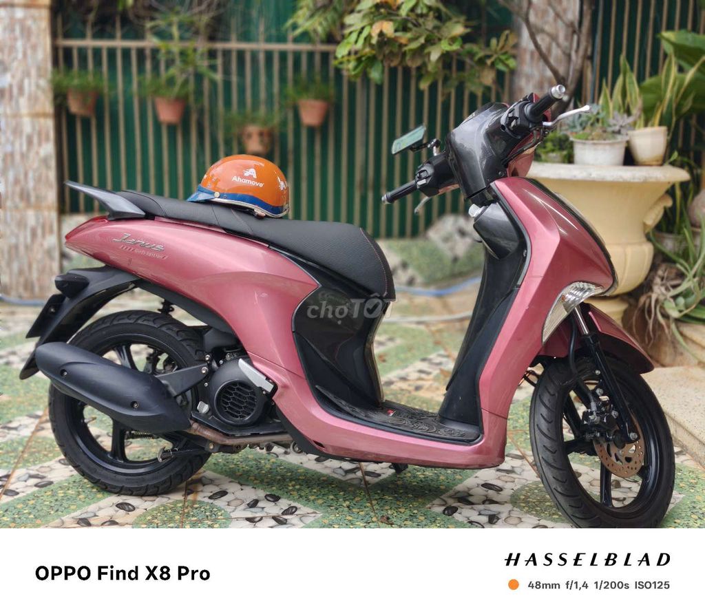 Janus hồng nam tính giao lưu blade 110,sirius. Mua bán Xe máy tại Thành phố Buôn Ma Thuột Đắk Lắk được đăng bởi Minh Mập Mờ Mũm Mĩm  hình 3