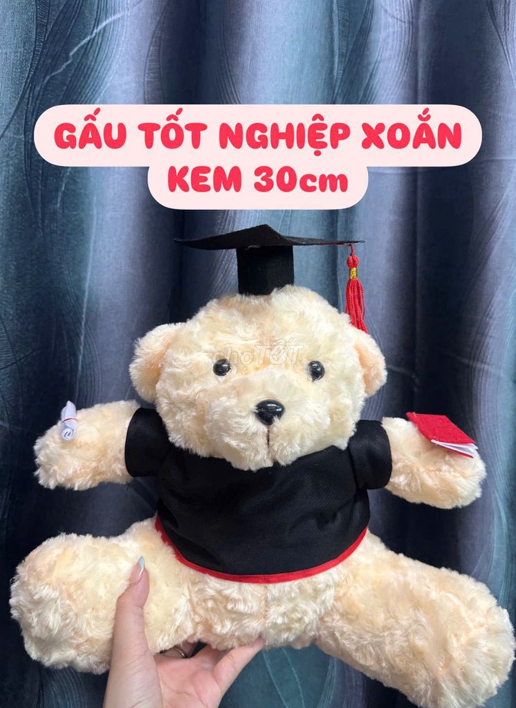 Gấu Bông Tốt Nghiệp, Gấu Bông Cử Nhân Làm Quà Tặng
