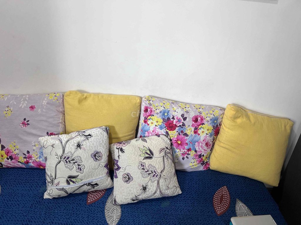 Gối tựa lưng Vải bố 50x50cm Đã sử dụng. Mua bán Giường, chăn ga gối nệm tại Quận 12 Tp Hồ Chí Minh được đăng bởi bao anh hình 1