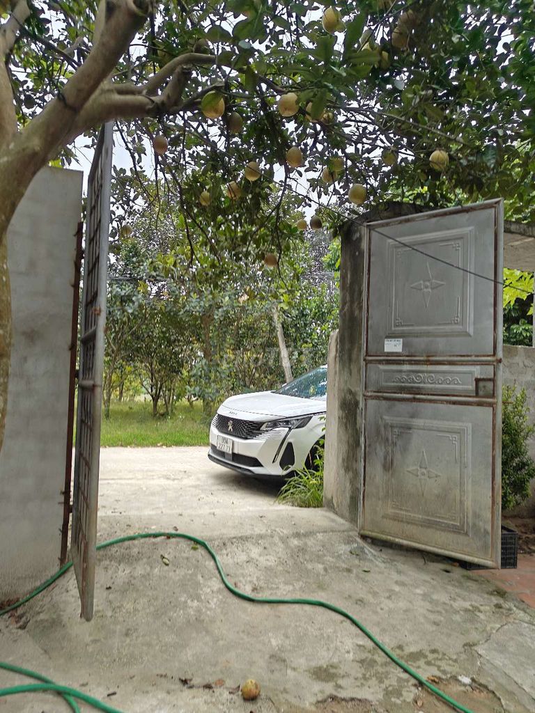 Cần tiền bán đất thổ cư chương mỹ xây nhà thoải mái 330m2 - 990tr. Mua bán đất tại Huyện Chương Mỹ Hà Nội được đăng bởi đỗ hà hình 3