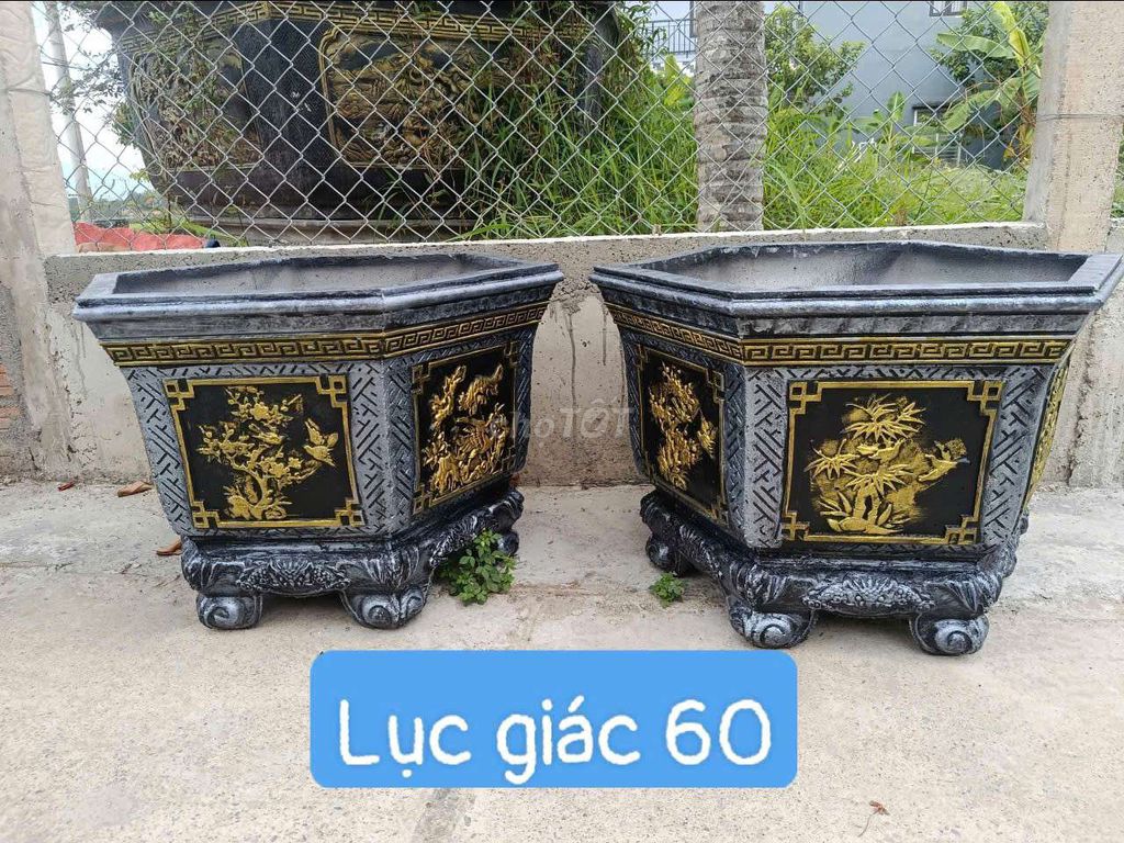 Chậu giá rẻ. Mua bán Cây cảnh, đồ trang trí tại Huyện Hòa Vang Đà Nẵng được đăng bởi Tran phuoc nhat hình 1