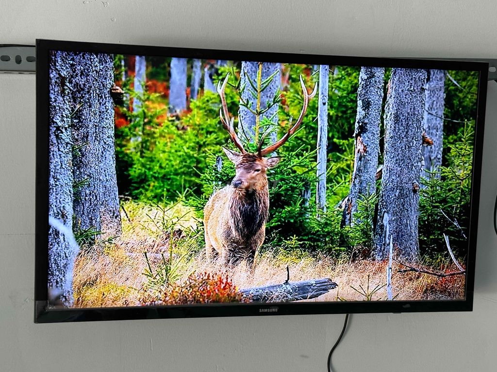 SMART TV SAMSUNG 32in WiFi Internet đẹp xuất sắc.