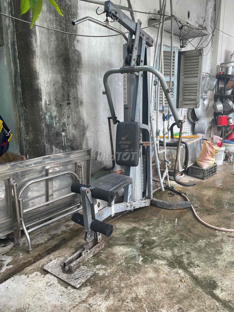 Bộ đẩy tạ Evere