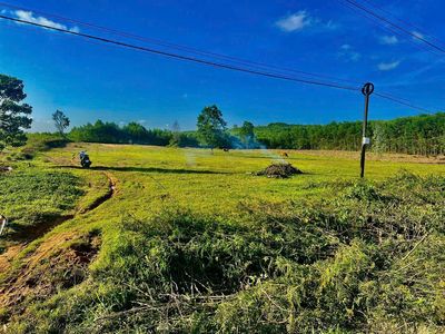 Lô đất vàng mặt tiền bê tông liên xã, qui hoạch 30 m ở xã Cư M'ta. Mua bán đất tại Huyện M'Đrắk Đắk Lắk được đăng bởi Nguyen Ngoc Hau