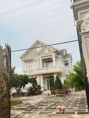 ĐI NƯỚC NGOÀI DU HỌC BÁN LỖ SIÊU BIỆT THỰ MẶT TIỀN TL786 CHỈ 42 Tỷ. Mua bán nhà ở tại Huyện Bến Cầu Tây Ninh được đăng bởi Đặng Thanh Tuấn