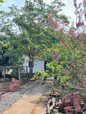 chính chủ bán nhà vườn phường Tân Thành , TPHCM ( BRVT cũ)
