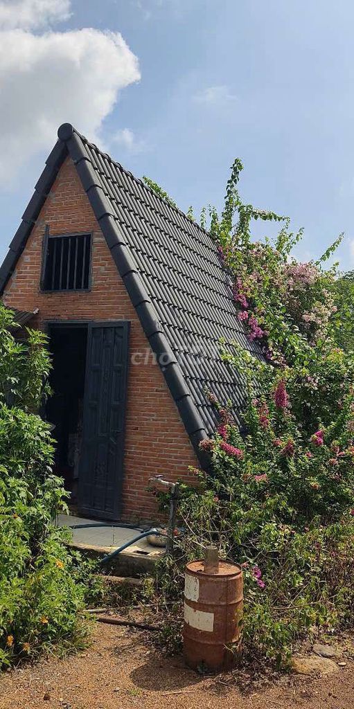 Nguyên căn Homestay 100k/1 đêm